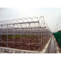 Agriculture/Farm/Multi-Span/Single-Span/Tunnel Plastic Film Frame Green House Pipe